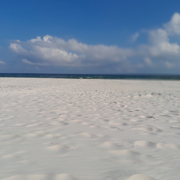 Meet your Posher, Lilly - Picture 3 of 6